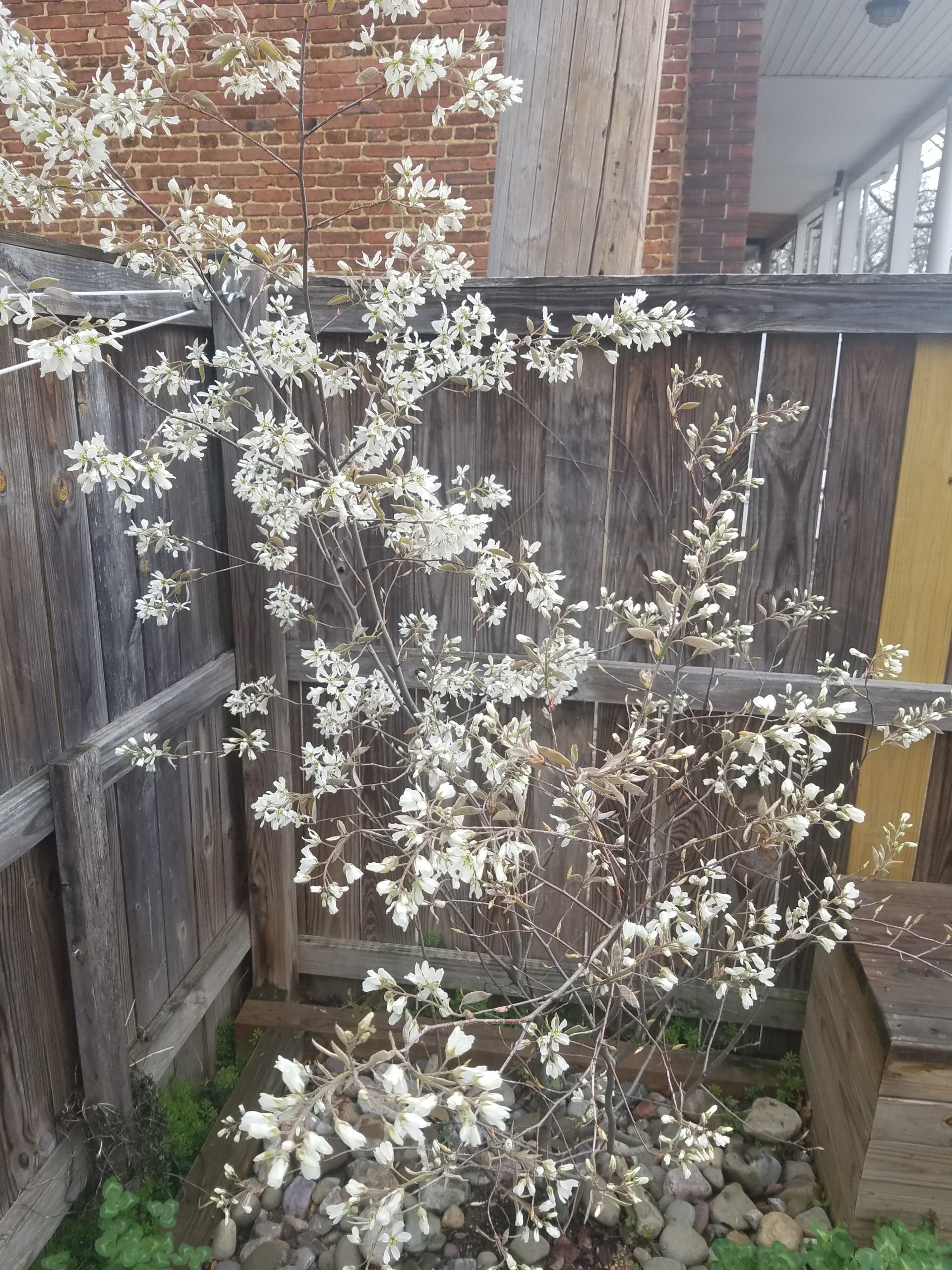 That’s Not How Trees Work